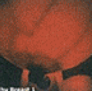 Royal Breast Treatment 3 魅力健胸療程 03
